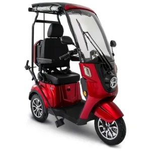 E-Seniorenmobile