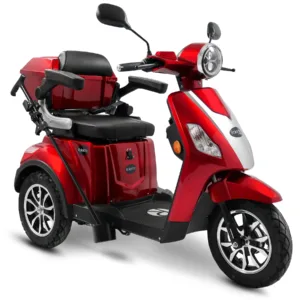 E-Seniorenmobile