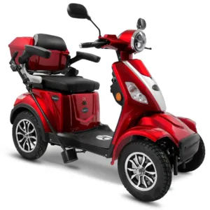 E-Seniorenmobile