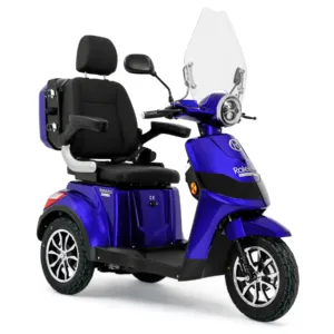 E-Seniorenmobile