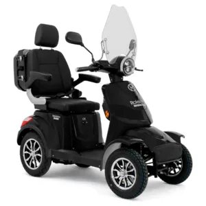 E-Seniorenmobile