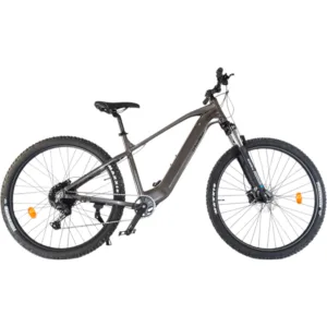 E-Mountainbikes