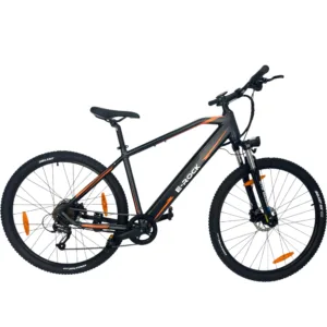 E-Mountainbikes